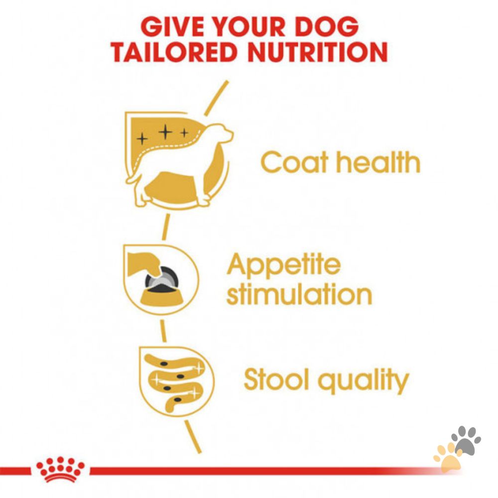 ROYAL CANIN YORKSHIRE DOG WET FOOD - 85G
