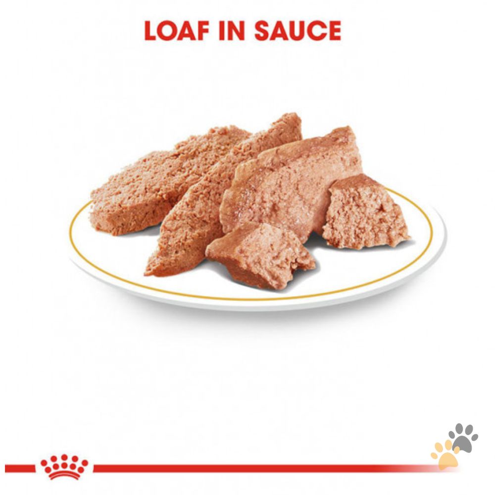ROYAL CANIN YORKSHIRE DOG WET FOOD - 85G