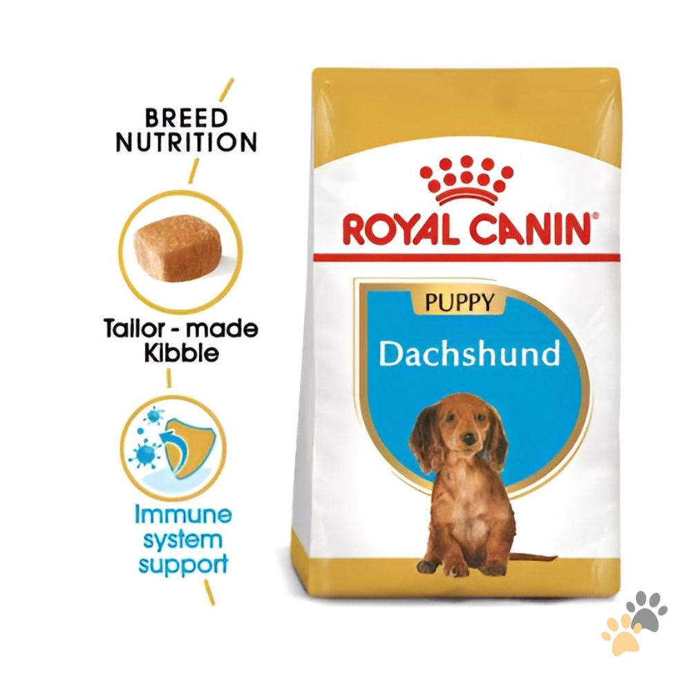 ROYAL CANIN DACHSHUND JUNIOR