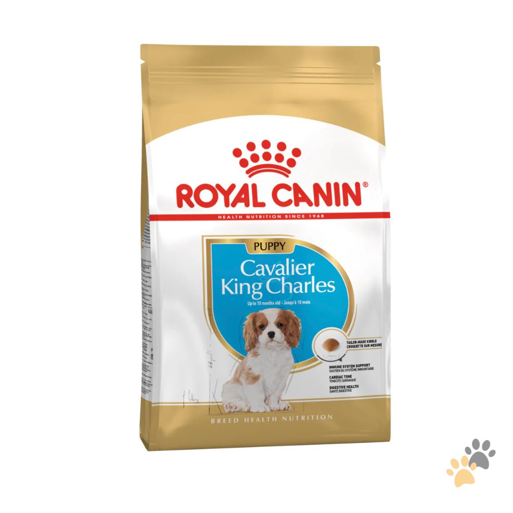 ROYAL CANIN CAVALIER KING CHARLES JUNIOR