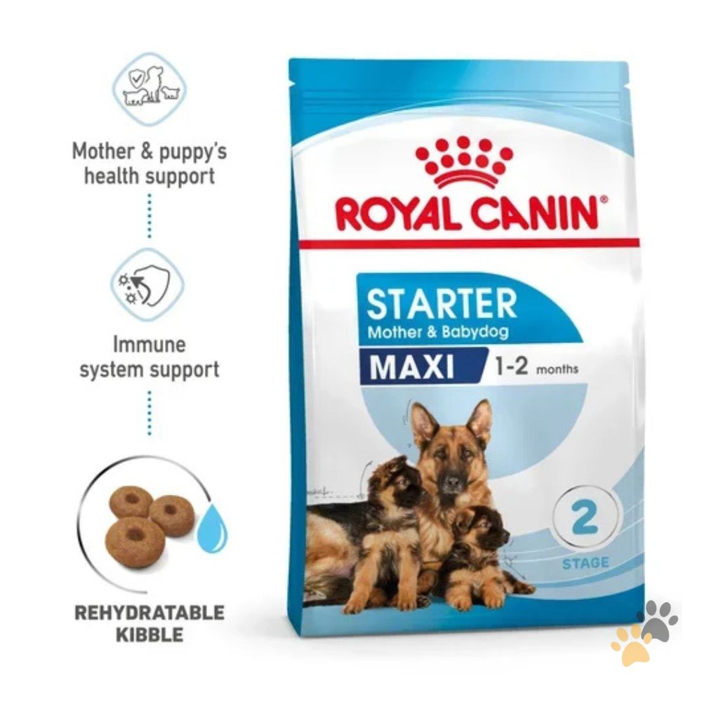 ROYAL CANIN MAXI STARTER DRY DOG FOOD
