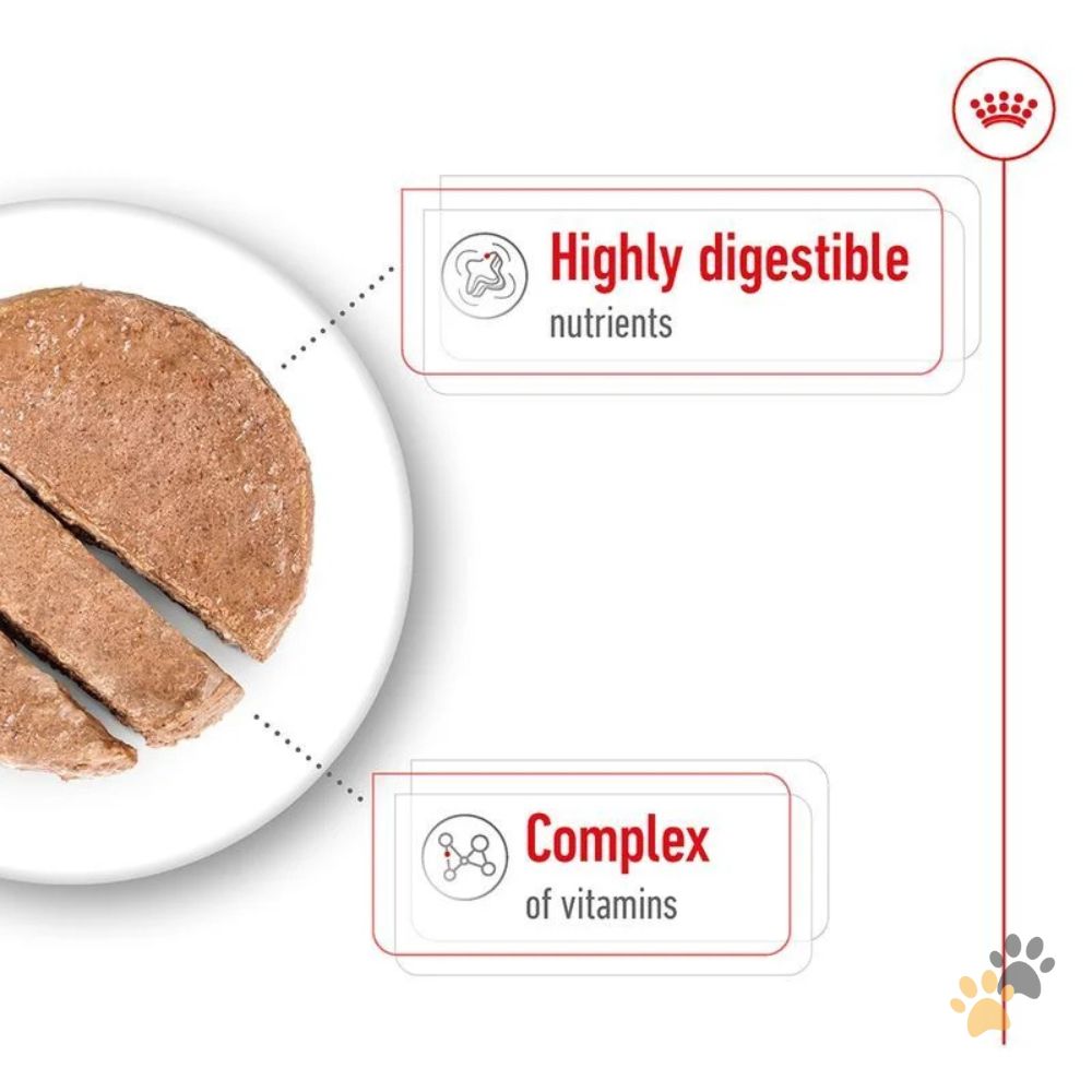ROYAL CANIN MINI ADULT DOG WET FOOD CAN - 195G