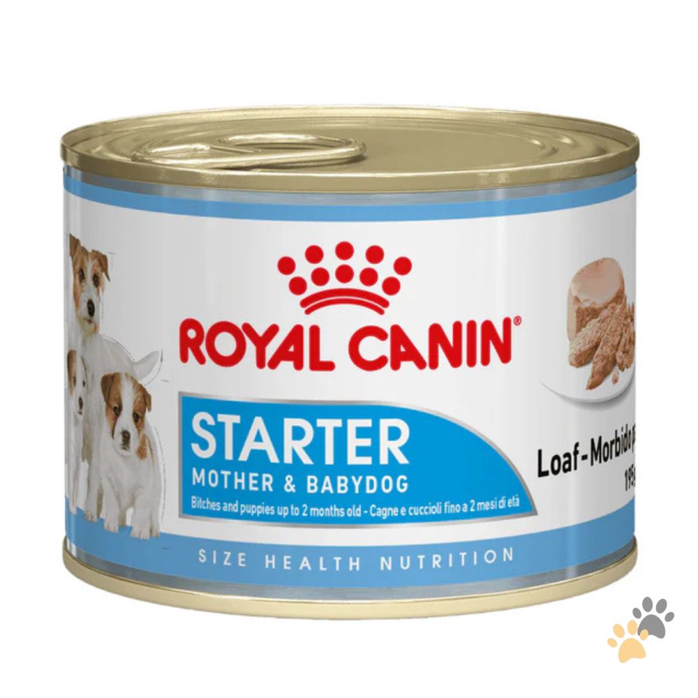 ROYAL CANIN STARTER MOTHER AND BABYDOG WET FOOD - 12 x 195G