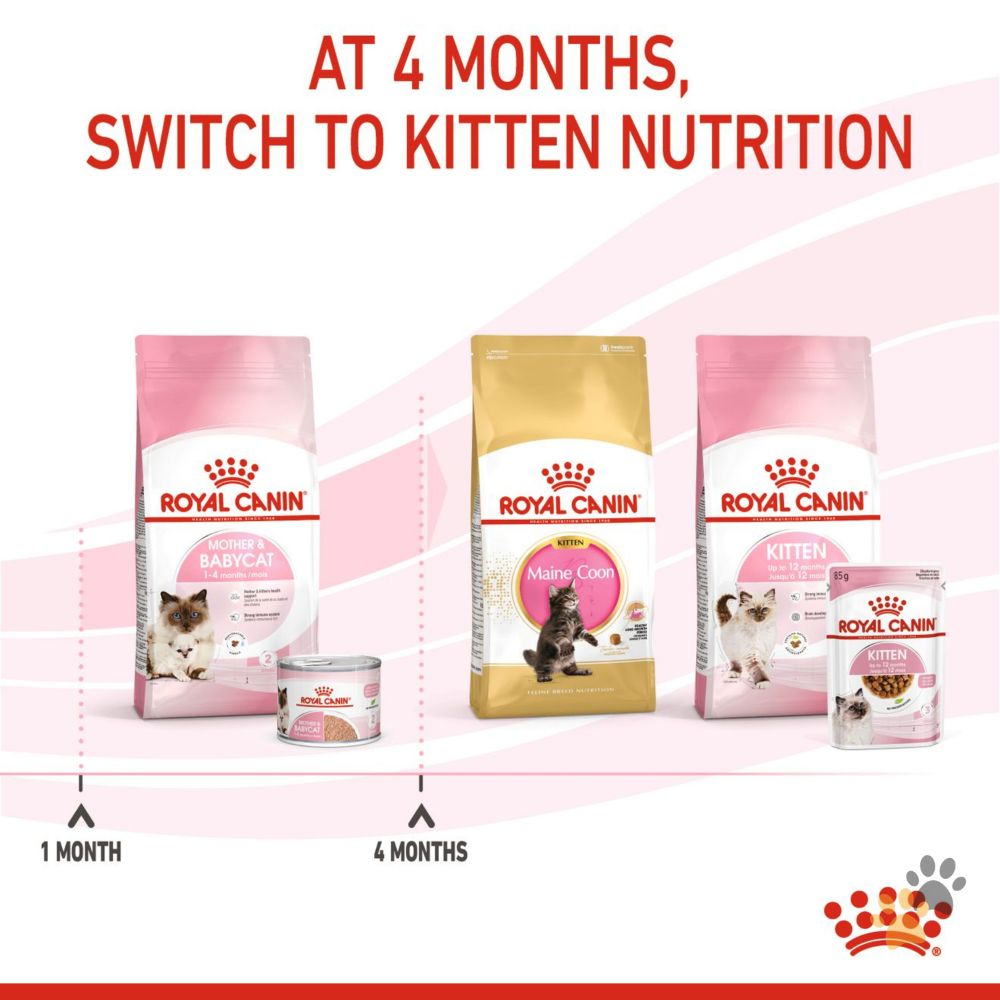 ROYAL CANIN MOTHER AND BABYCAT WET FOOD CANS TRAY - 12 X 195G