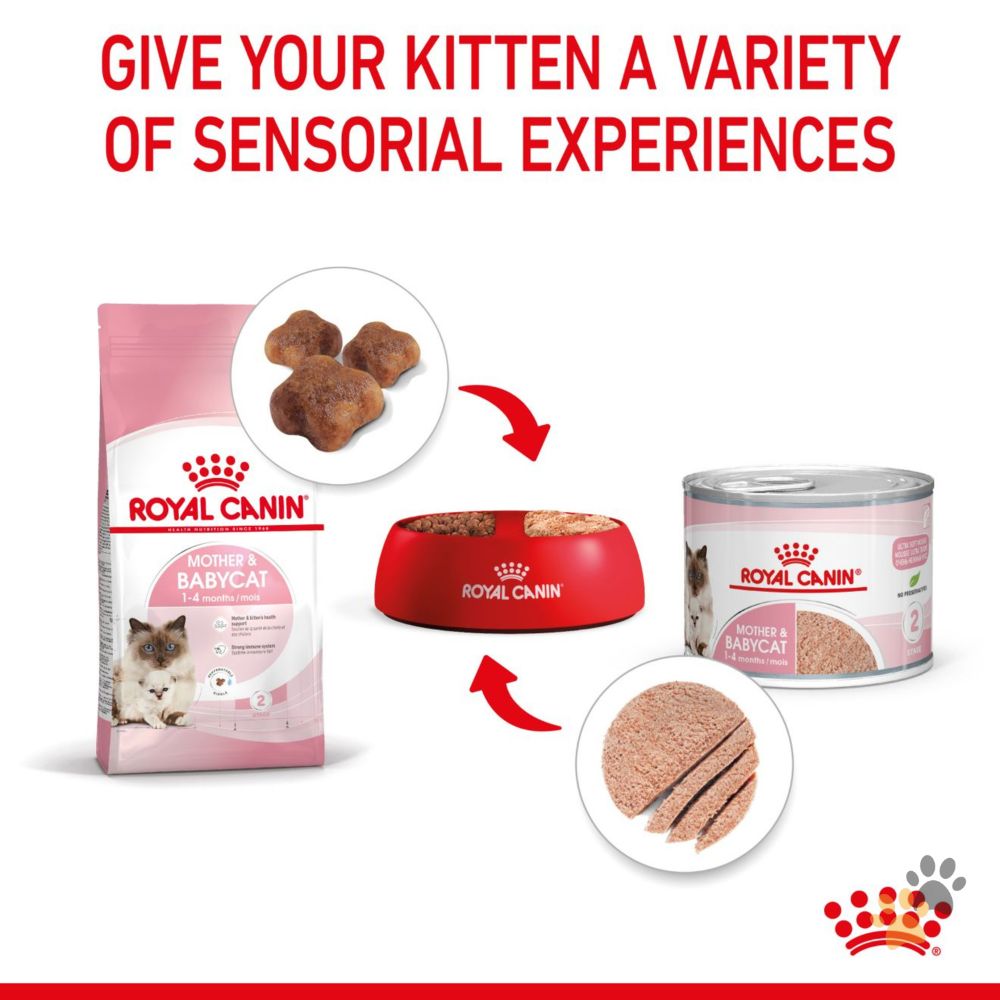 ROYAL CANIN MOTHER AND BABYCAT WET FOOD CANS TRAY - 12 X 195G