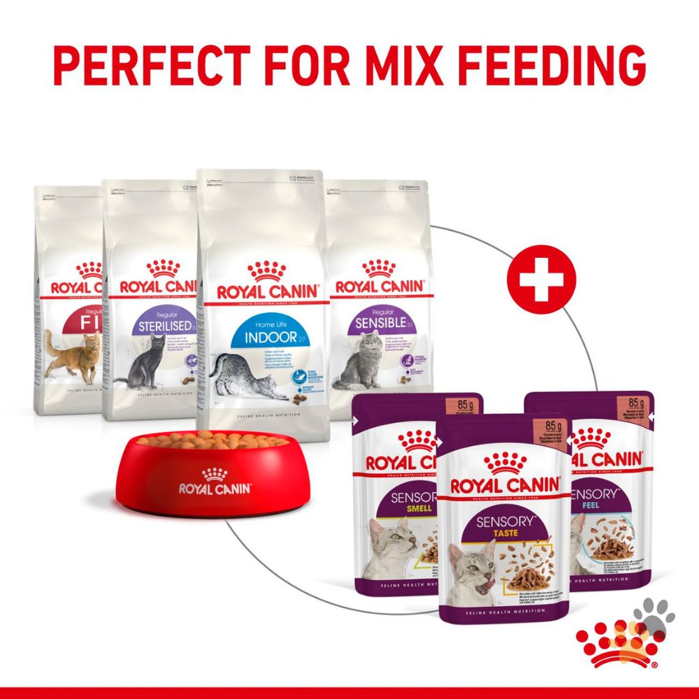 ROYAL CANIN FELINE HEALTH NUTRITION SENSORY TASTE GRAVY WET FOOD