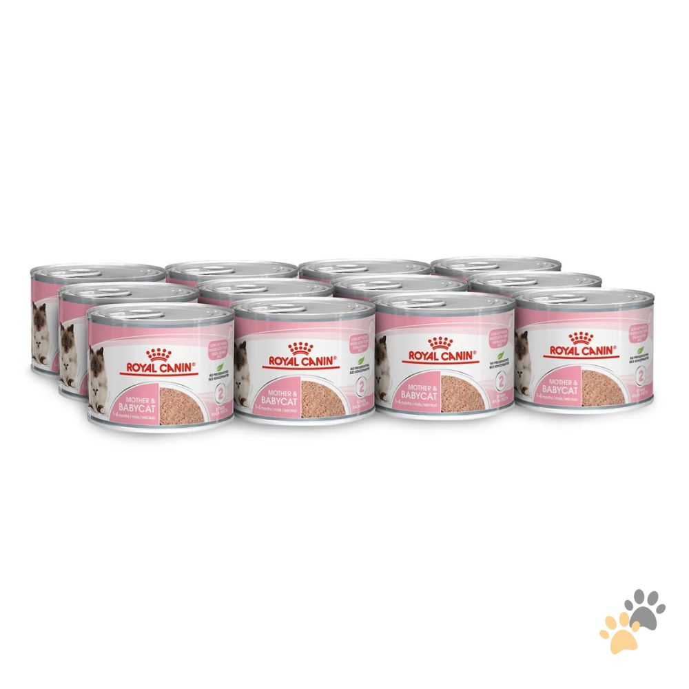 ROYAL CANIN MOTHER AND BABYCAT WET FOOD CANS TRAY - 12 X 195G