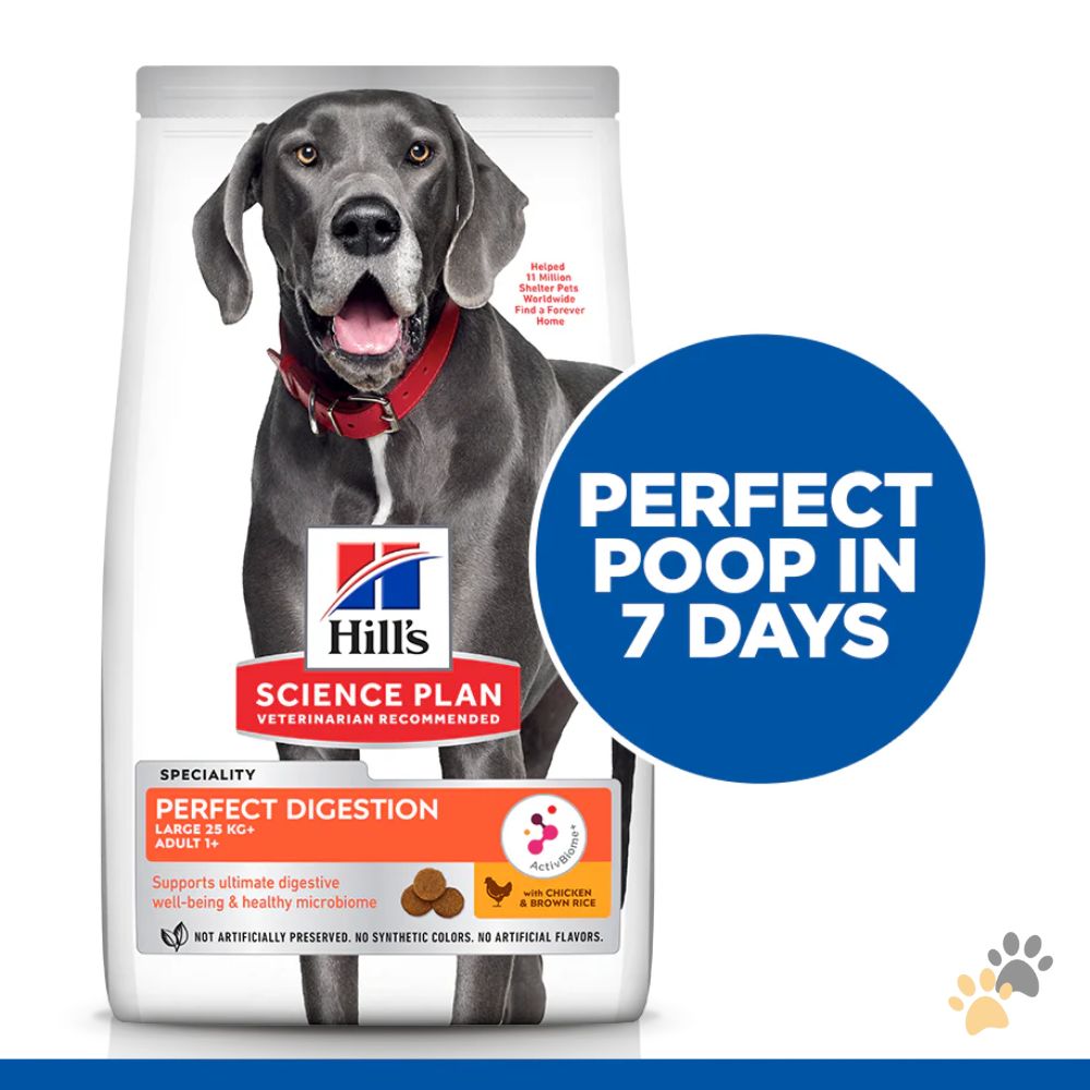 HILL'S SCIENCE PLAN PERFECT DIGESTION LARGE BREEED ADULT 1+ DOG FOOD WITH CHICKEN AND BROWN RICE 14KG