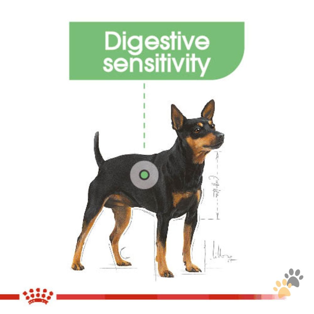 ROYAL CANIN DIGESTIVE CARE DOG WET FOOD - 85G