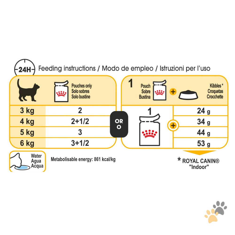 ROYAL CANIN FELINE HEALTH NUTRITION SENSORY TASTE GRAVY WET FOOD