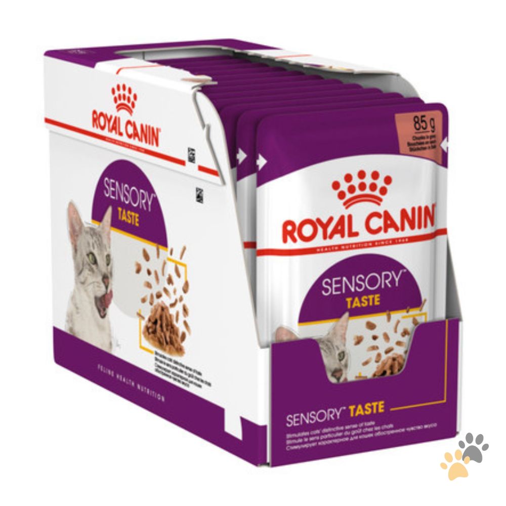 ROYAL CANIN FELINE HEALTH NUTRITION SENSORY TASTE GRAVY WET FOOD