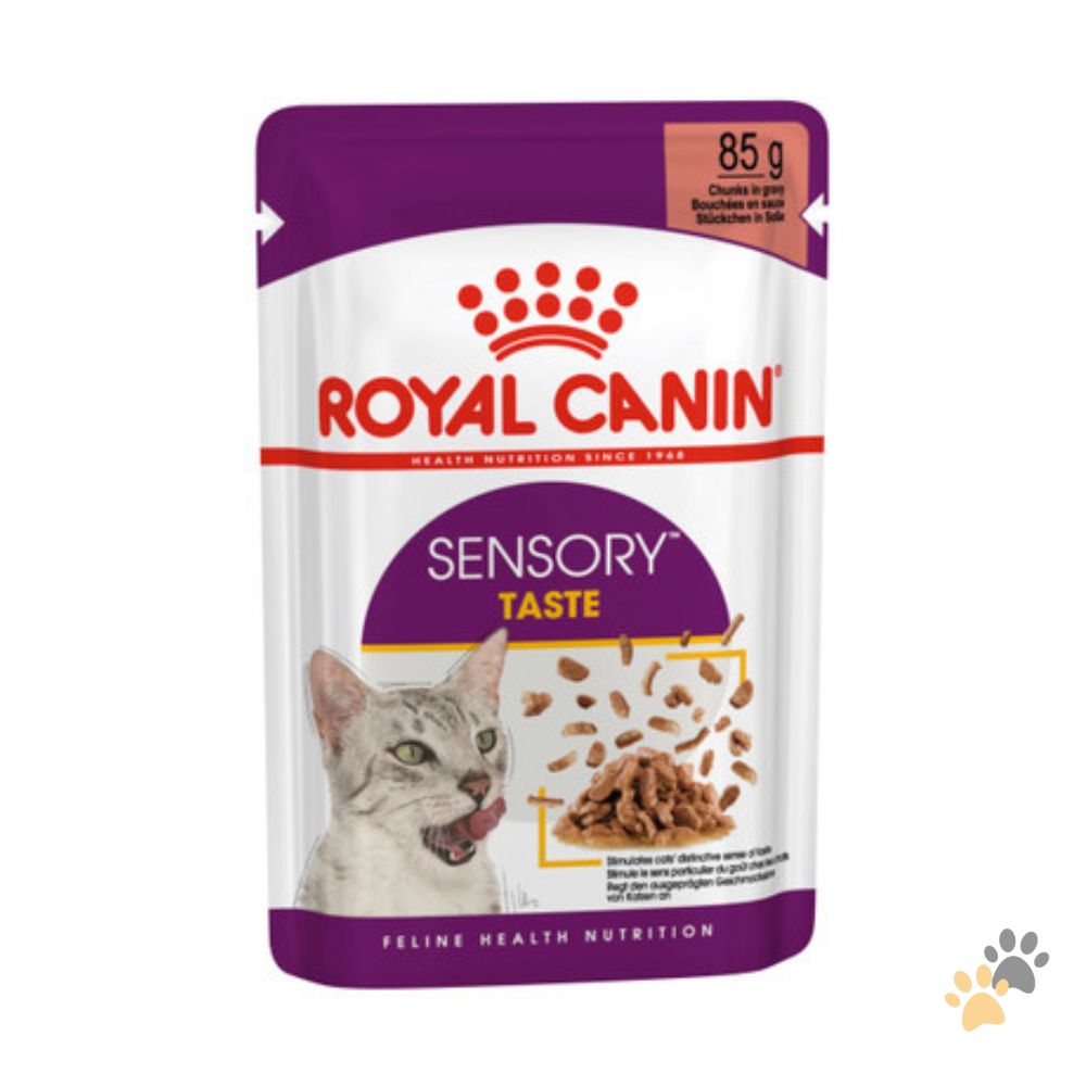 ROYAL CANIN FELINE HEALTH NUTRITION SENSORY TASTE GRAVY WET FOOD