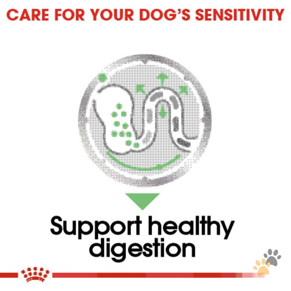 ROYAL CANIN DIGESTIVE CARE DOG WET FOOD - 85G