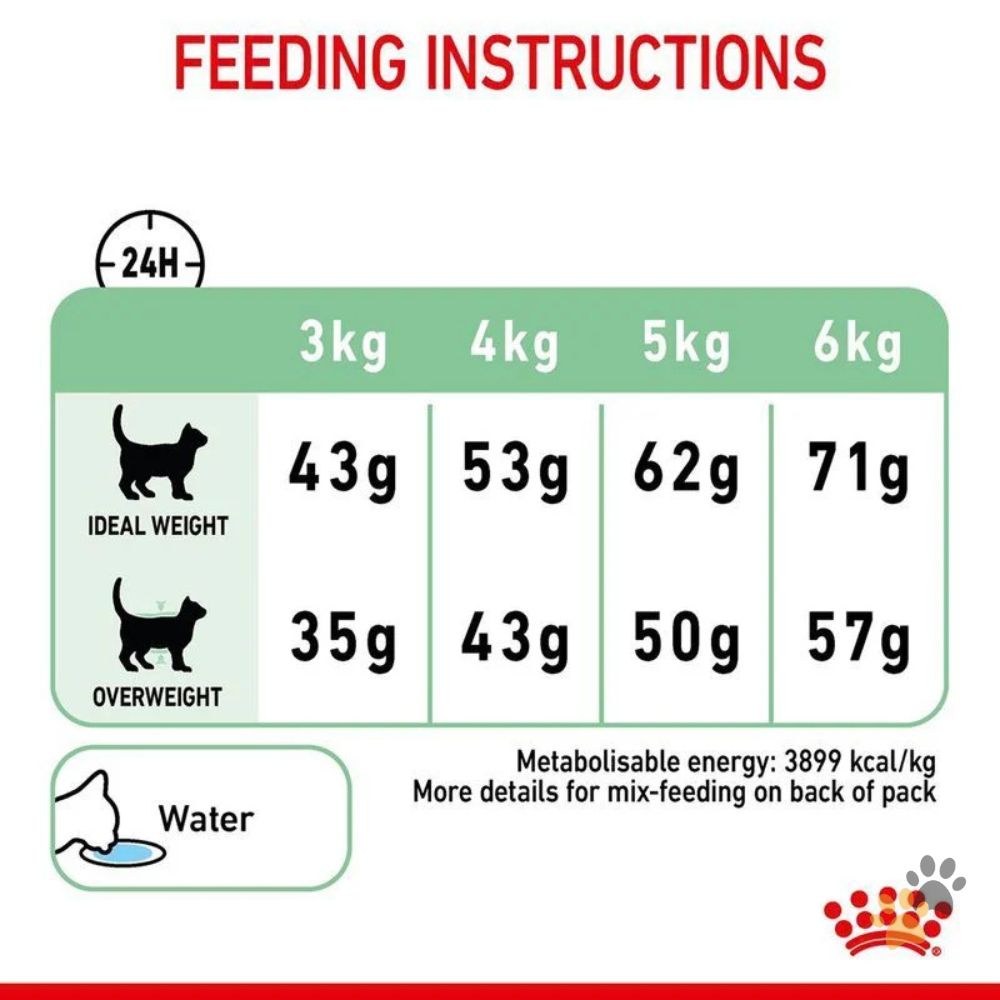 ROYAL CANIN DIGESTIVE CARE DRY CAT FOOD