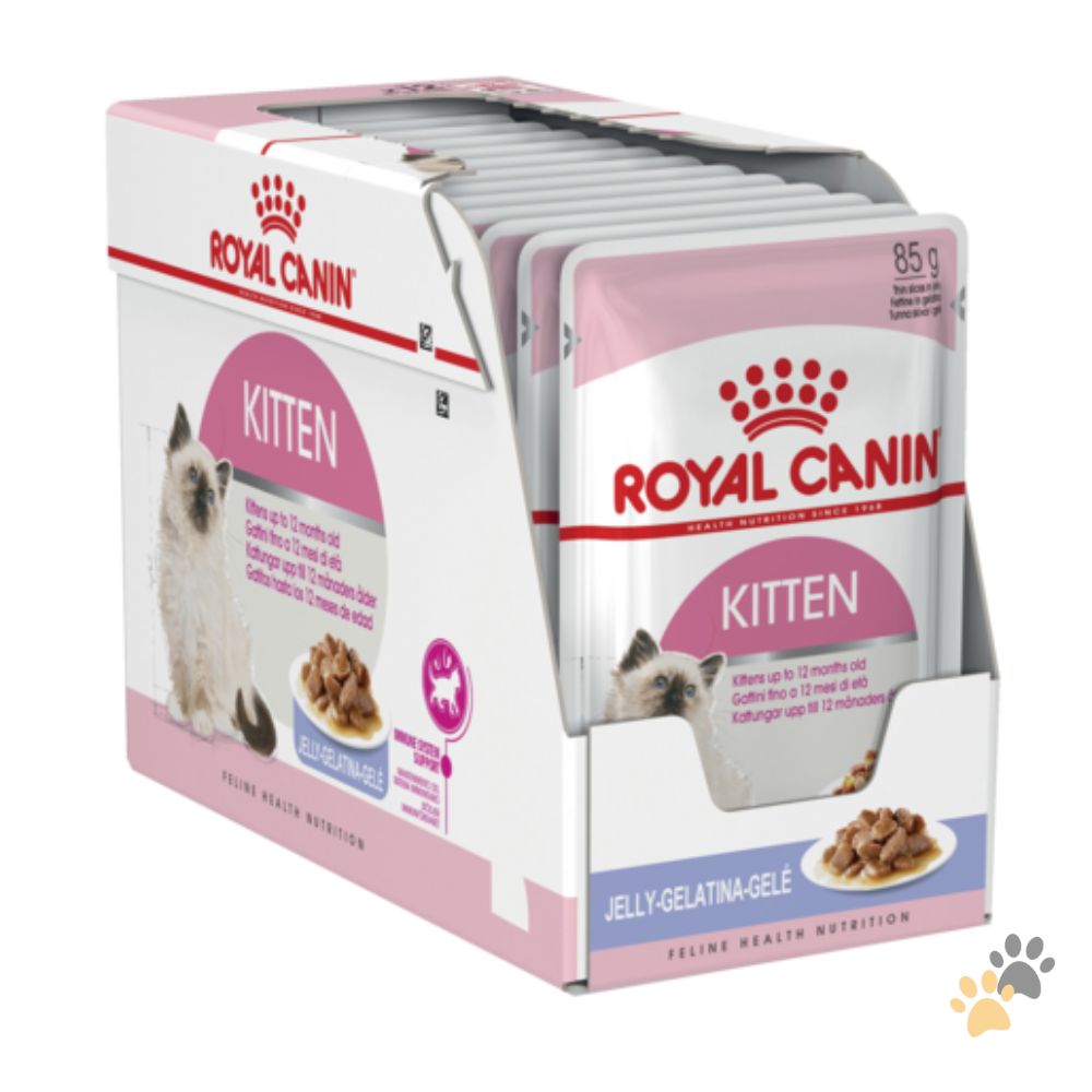 ROYAL CANIN KITTEN JELLY WET FOOD - 12 X 85G