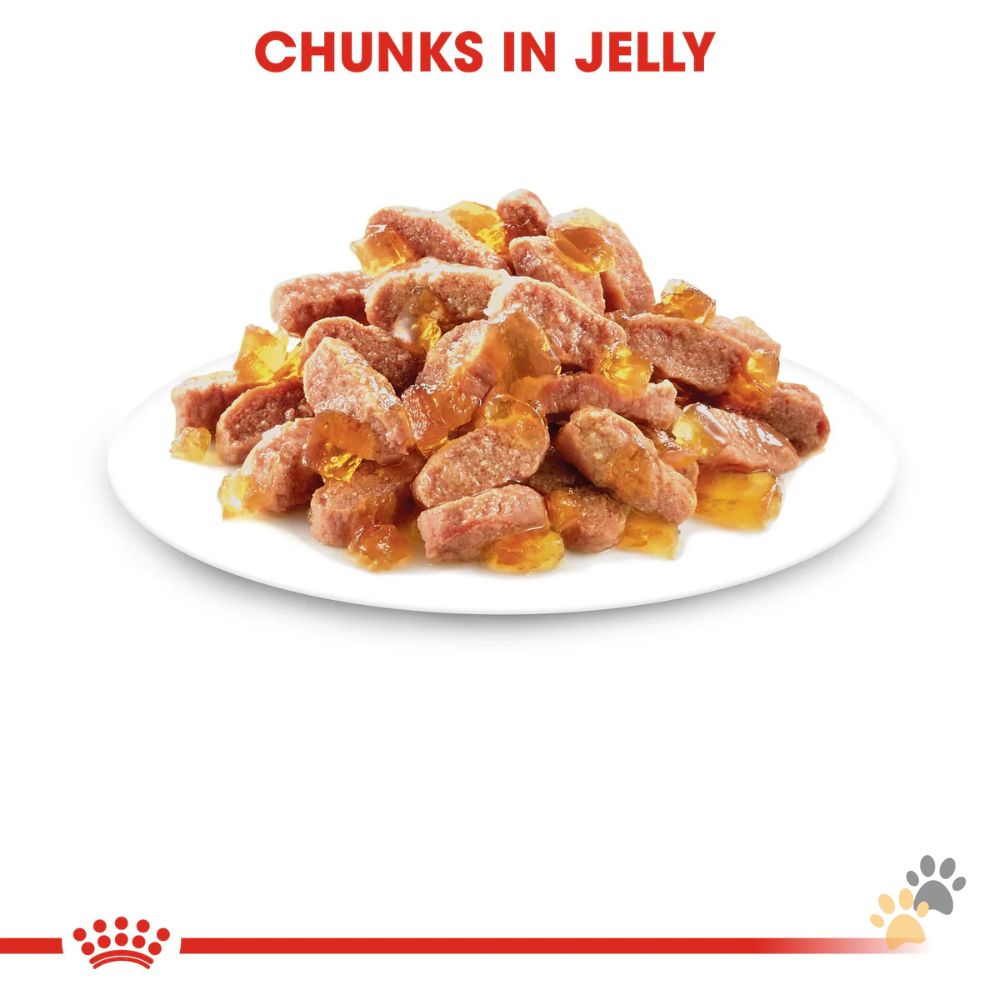 ROYAL CANIN KITTEN JELLY WET FOOD - 12 X 85G