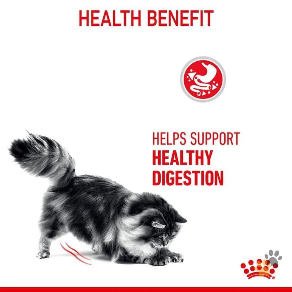 ROYAL CANIN DIGESTIVE CARE DRY CAT FOOD