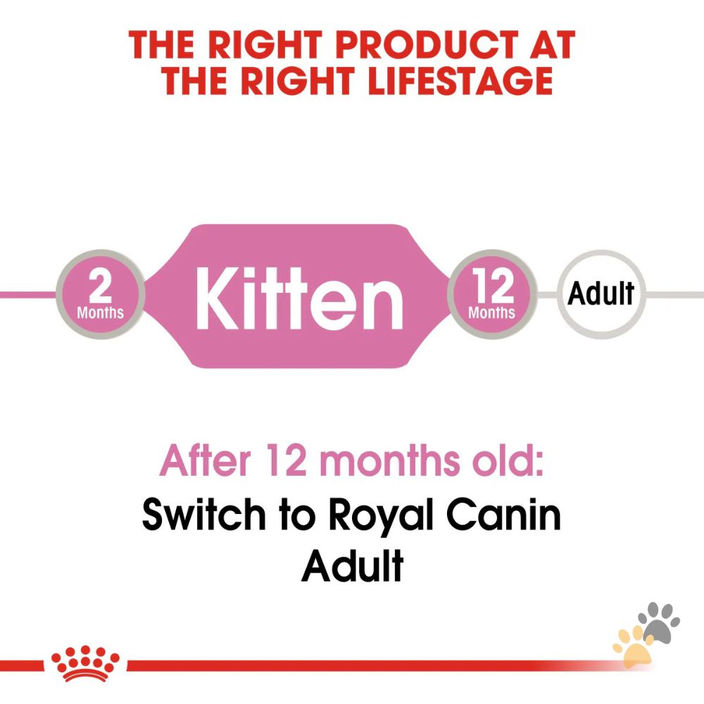 ROYAL CANIN KITTEN JELLY WET FOOD - 12 X 85G