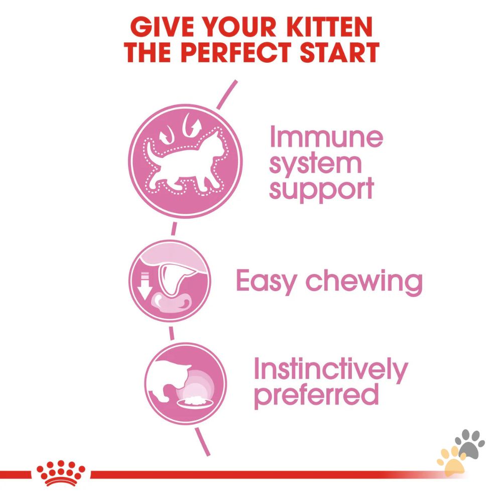 ROYAL CANIN KITTEN JELLY WET FOOD - 12 X 85G