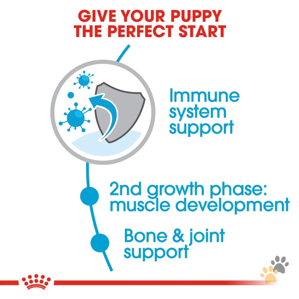 ROYAL CANIN SIZE HEALTH NUTRITION GIANT JUNIOR