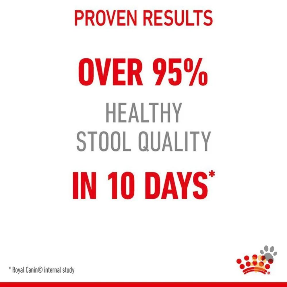 ROYAL CANIN DIGESTIVE CARE DRY CAT FOOD