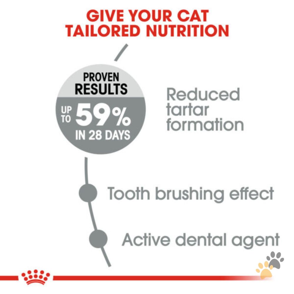 ROYAL CANIN FELINE NUTRITION DENTAL CARE DRY CAT FOOD