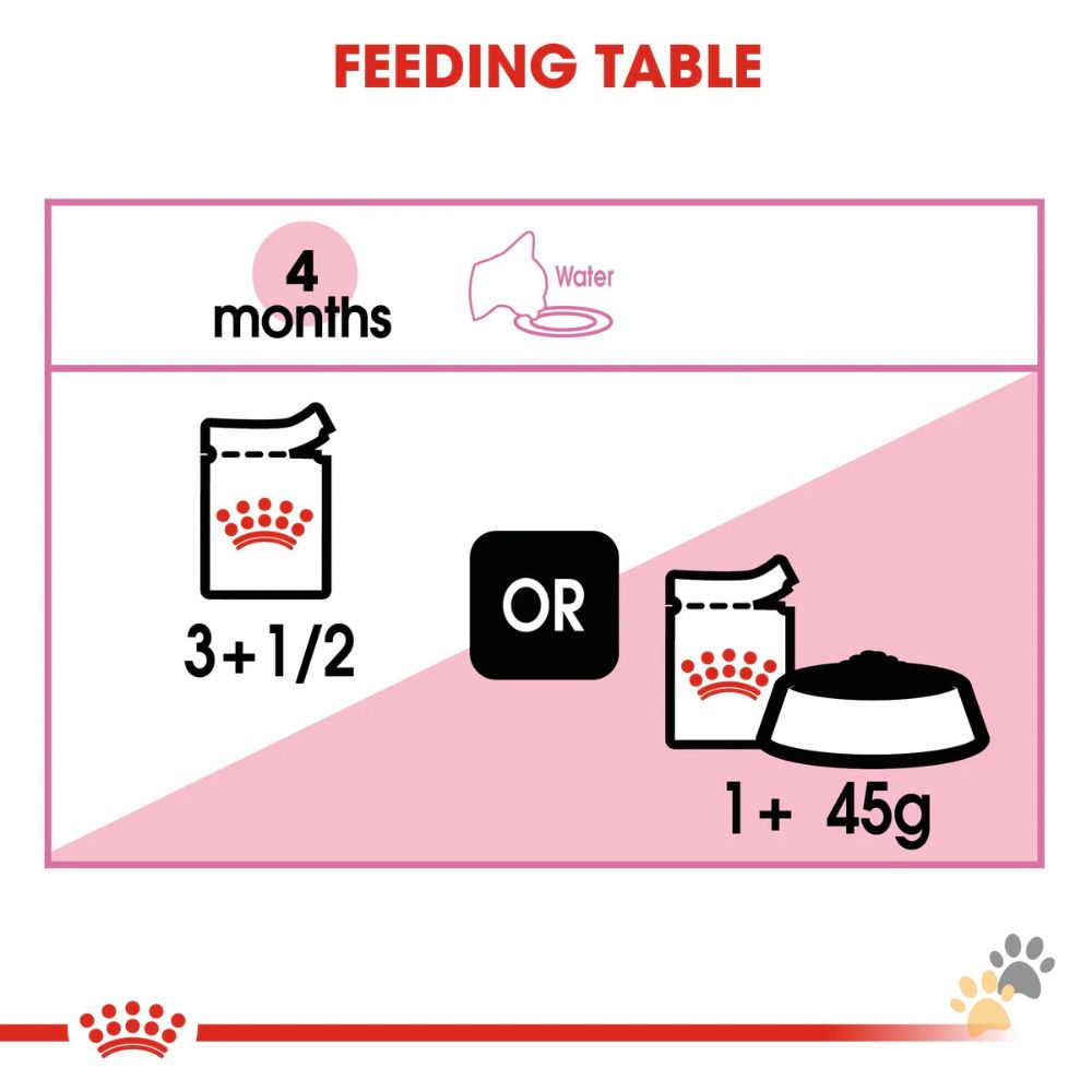 ROYAL CANIN KITTEN JELLY WET FOOD - 12 X 85G