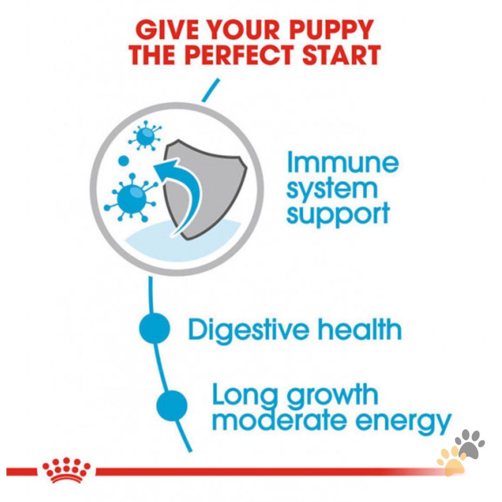 ROYAL CANIN MAXI PUPPY DOG WET FOOD - 140G