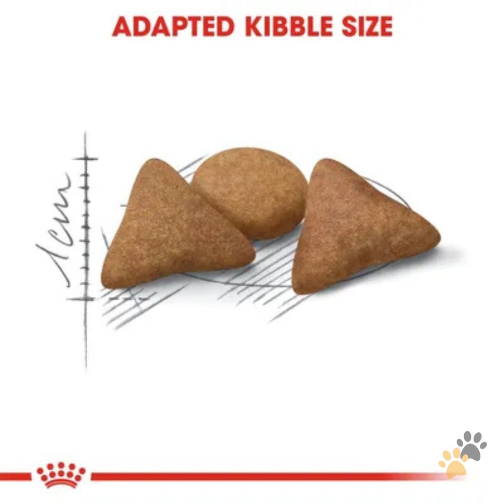 ROYAL CANIN INDOOR APPETITE CONTROL DRY CAT FOOD