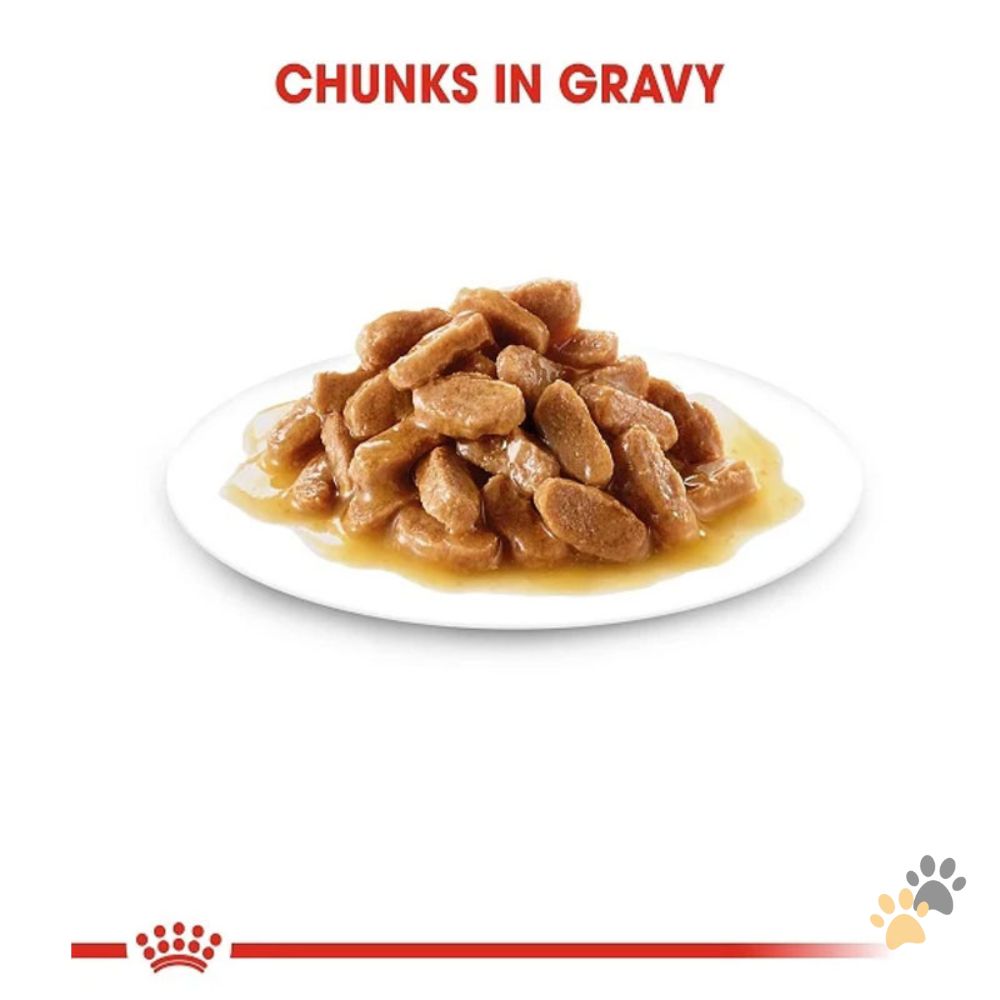 ROYAL CANIN MINI PUPPY DOG WET FOOD - 85G