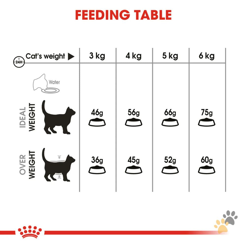 ROYAL CANIN DENTAL ORAL CARE DRY CAT FOOD