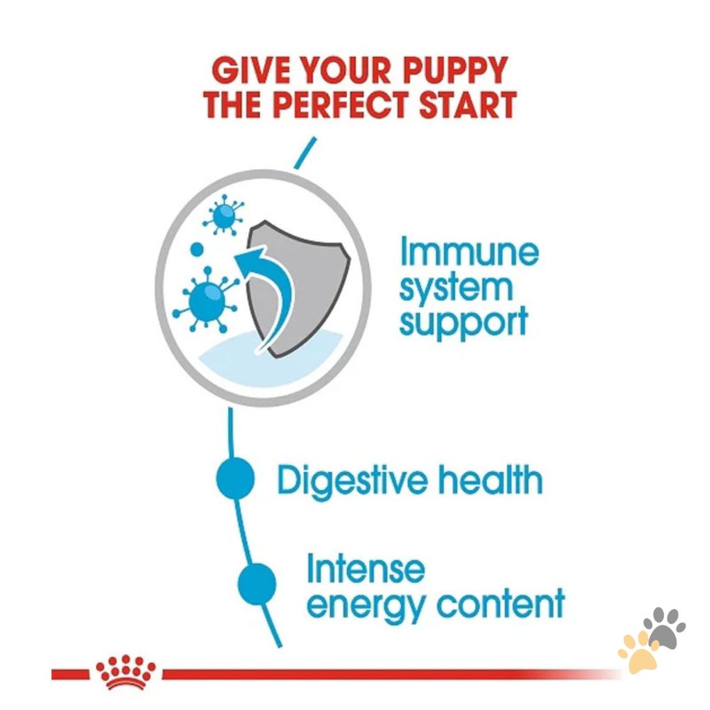 ROYAL CANIN MINI PUPPY DOG WET FOOD - 85G