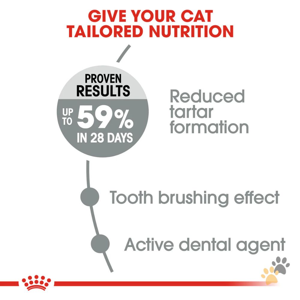 ROYAL CANIN DENTAL ORAL CARE DRY CAT FOOD