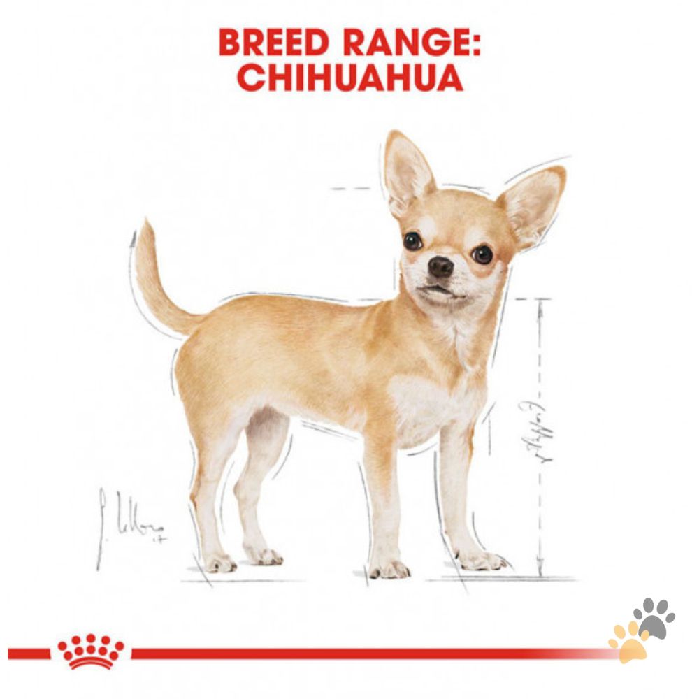 ROYAL CANIN CHIHUAHUA DOG WET FOOD - 12 X 85G