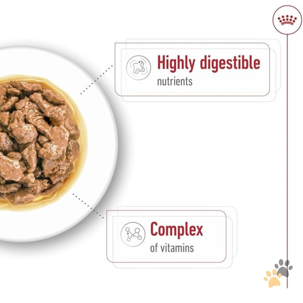 ROYAL CANIN MINI AGEING GRAVY WET DOG FOOD - 12 x 85G