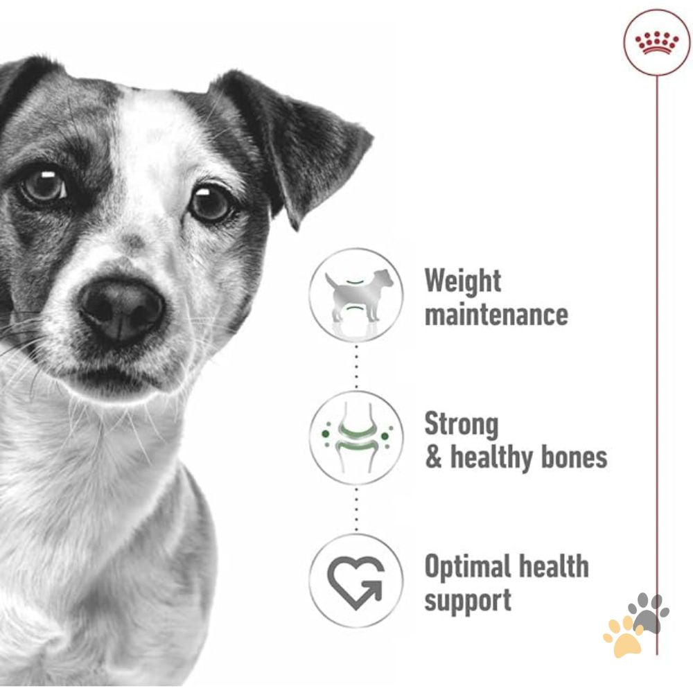 ROYAL CANIN MINI AGEING GRAVY WET DOG FOOD - 12 x 85G