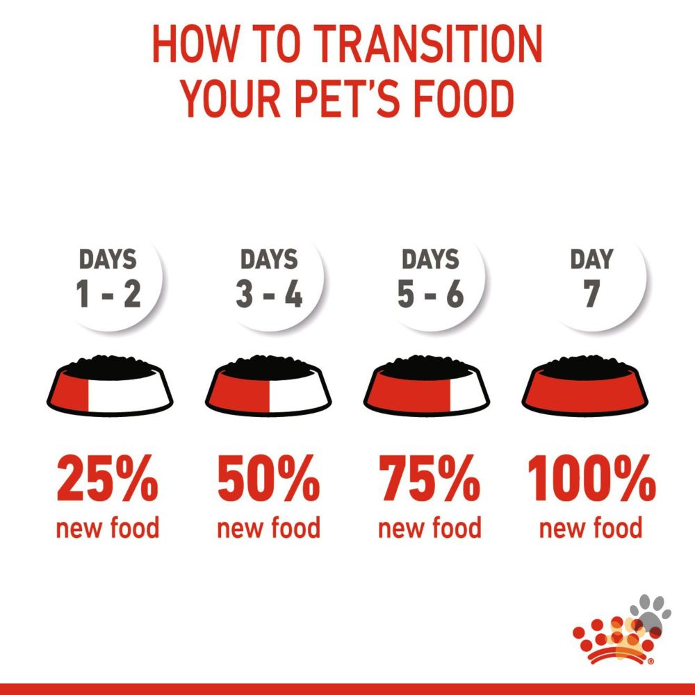 ROYAL CANIN MOTHER AND BABYCAT WET FOOD CANS TRAY - 12 X 195G