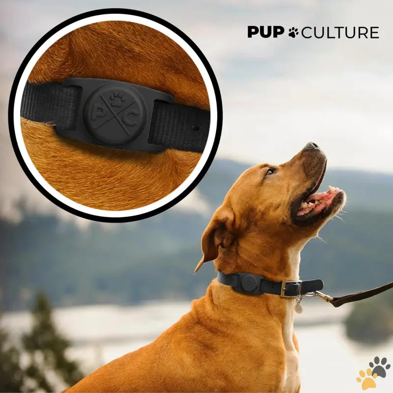 Pup Culture Airtag Dog Collar Holder - Black / 1 Pack - Airtag Dog Collar | Durable & Protective Dog Airtag Holder