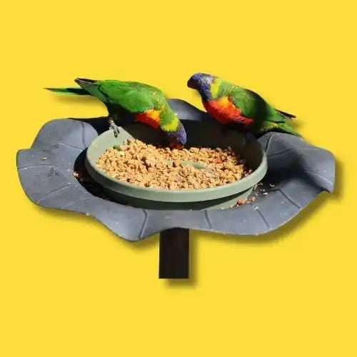 Bird feeder with two colorful parrots eating from a dish.