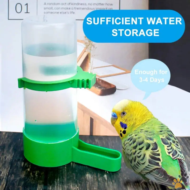 Xistest Feeder Water Dispenser Set - 2pcs 90ml + 1pcs 150ml - Bird Feeder & Water Dispenser Set Automatic Bird Feeder