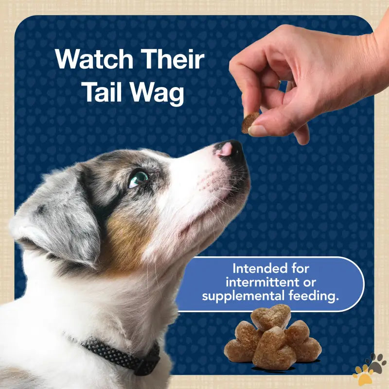 Blue Buffalo Blue Bits Dog Treats - Bits Soft Dog Treats for Training Enhanced with Dha 4-oz. Bag.