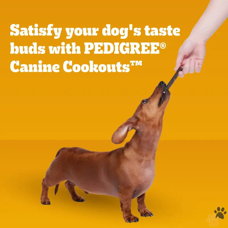 Pedigree Soft Dog Treats Beef Flavor - Beef - Canine Cookout Soft Dog Treats Beef Flavored Meaty Sticks 5.36 Oz Bag.