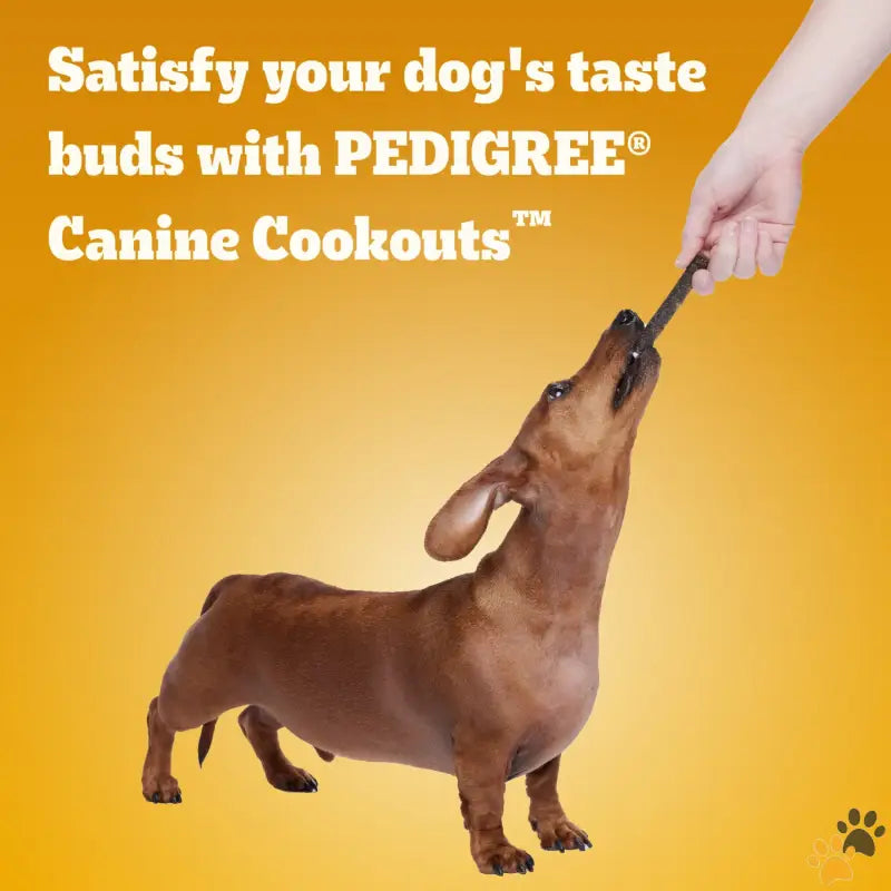 Pedigree Soft Dog Treats Beef Flavor - Beef - Canine Cookout Soft Dog Treats Beef Flavored Meaty Sticks 5.36 Oz Bag.