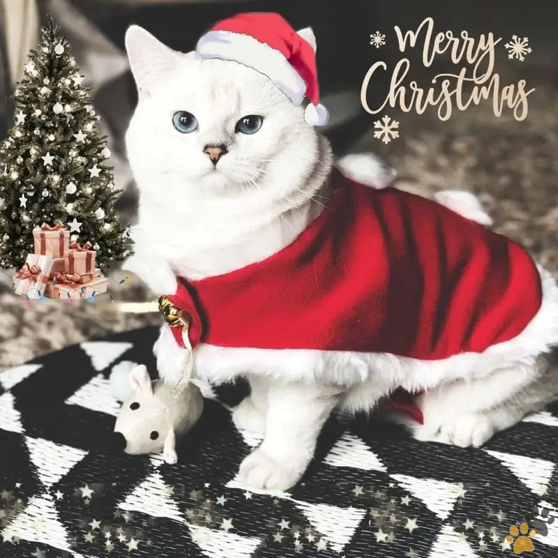 Namsan Santa Hat Pet Outfit - Santa Costume - Cat Christmas Costume Small Dog Santa Hat with Cloak Set Warm Xmas Cloak