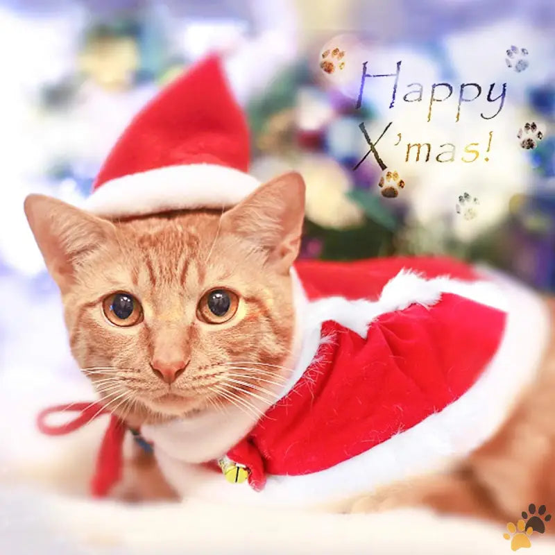 Namsan Santa Hat Pet Outfit - Santa Costume - Cat Christmas Costume Small Dog Santa Hat with Cloak Set Warm Xmas Cloak