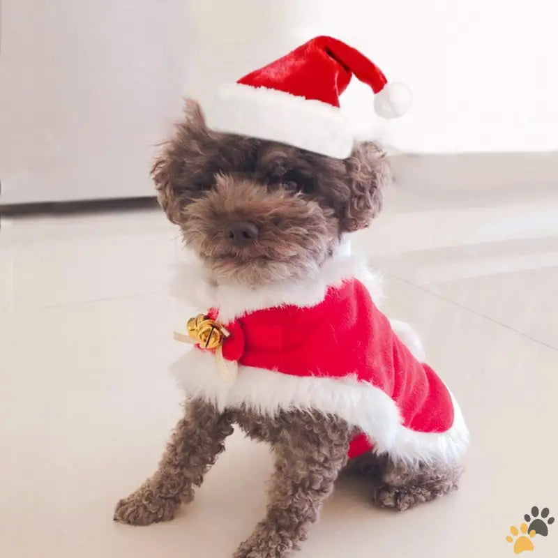 Namsan Santa Hat Pet Outfit - Santa Costume - Cat Christmas Costume Small Dog Santa Hat with Cloak Set Warm Xmas Cloak