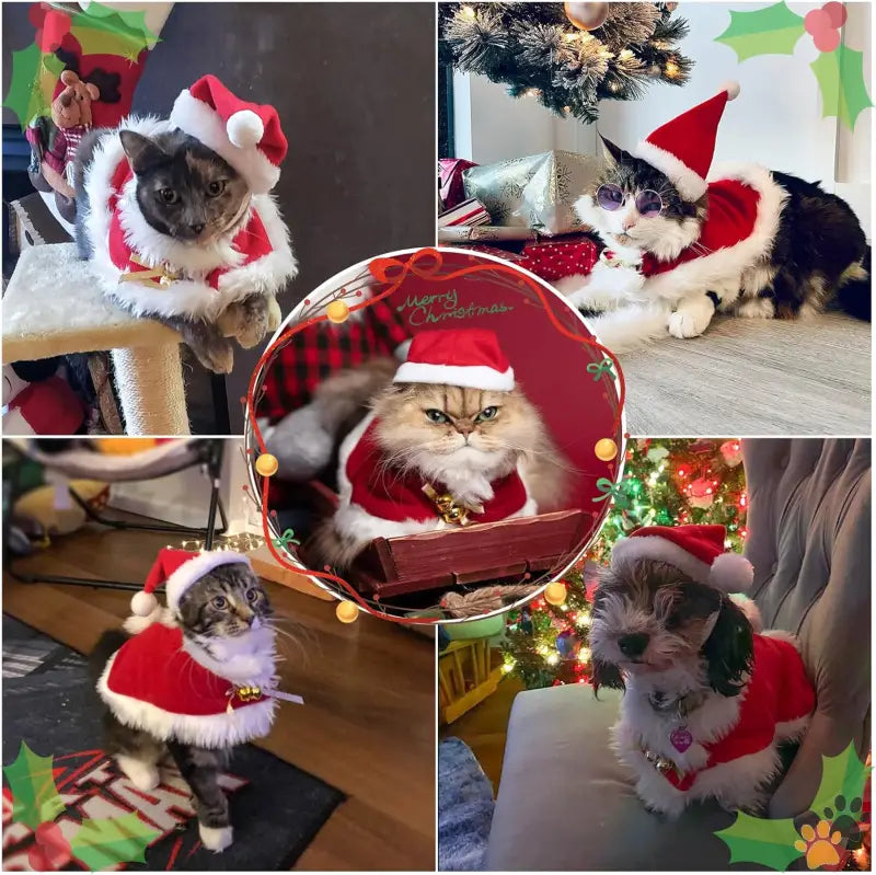 Namsan Santa Hat Pet Outfit - Santa Costume - Cat Christmas Costume Small Dog Santa Hat with Cloak Set Warm Xmas Cloak