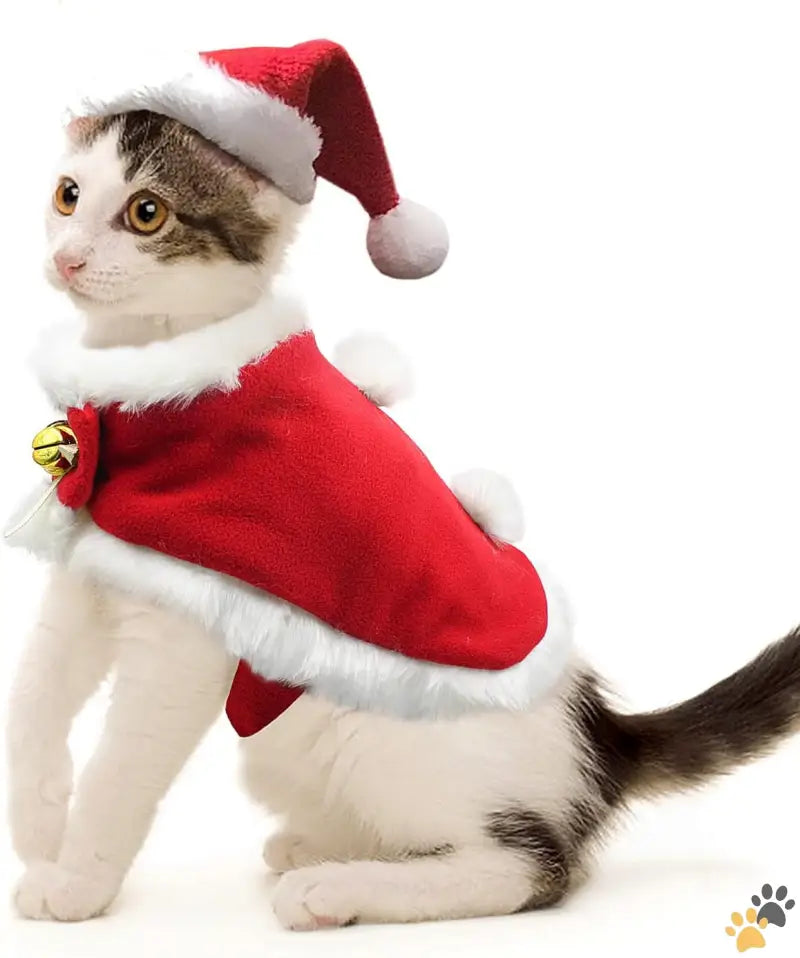 Namsan Santa Hat Pet Outfit - Santa Costume - Cat Christmas Costume Small Dog Santa Hat with Cloak Set Warm Xmas Cloak