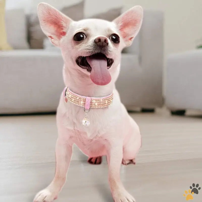 Premium Pu Leather Pet Collar - A-pink / Medium (pack of 1) - Cat Collar Dog Collar [bling Rhinestones] Premium Pu