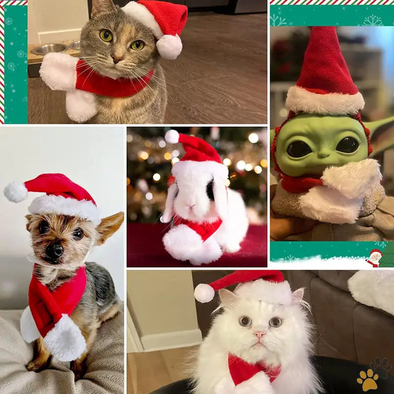 Cat Santa Hat Pet Costume - Christmas Hat and Scarf - Cat Santa Hat with Scarf Christmas Hats for Cats Small Dog Santa